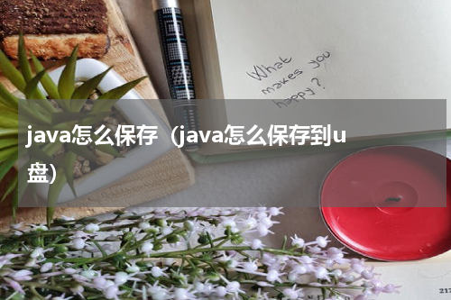 java怎么保存（java怎么保存到u盘）