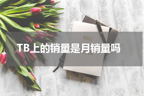 TB上的销量是月销量吗