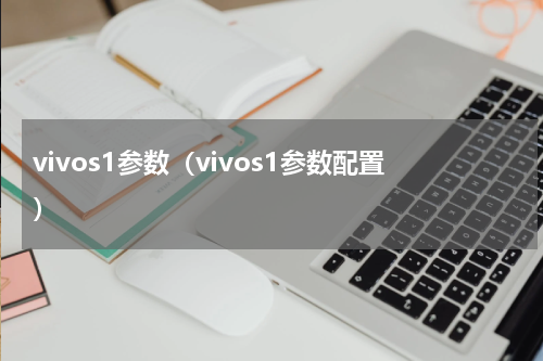 vivos1参数（vivos1参数配置）