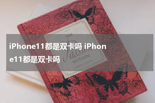 iPhone11都是双卡吗 iPhone11都是双卡吗