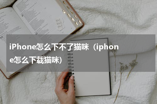 iPhone怎么下不了猫咪（iphone怎么下载猫咪）