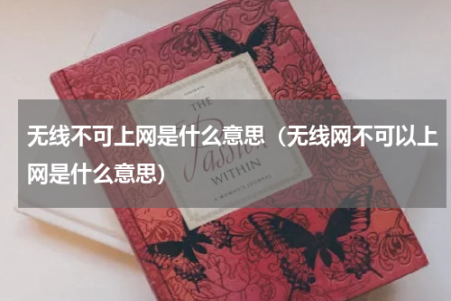 无线不可上网是什么意思（无线网不可以上网是什么意思）