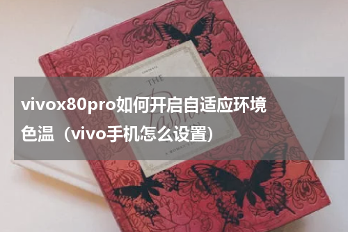 vivox80pro如何开启自适应环境色温（vivo手机怎么设置）