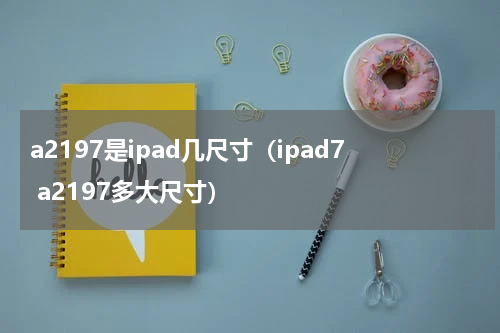 a2197是ipad几尺寸（ipad7 a2197多大尺寸）