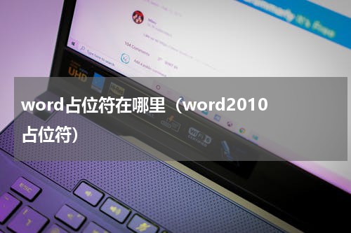 word占位符在哪里（word2010占位符）