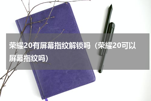 荣耀20有屏幕指纹解锁吗（荣耀20可以屏幕指纹吗）