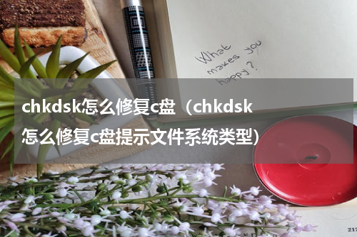 chkdsk怎么修复c盘（chkdsk怎么修复c盘提示文件系统类型）