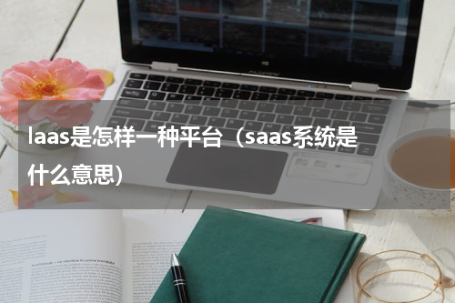 laas是怎样一种平台（saas系统是什么意思）
