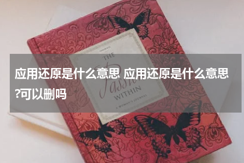 应用还原是什么意思 应用还原是什么意思?可以删吗