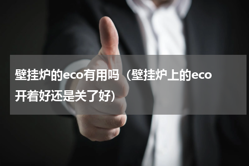 壁挂炉的eco有用吗（壁挂炉上的eco开着好还是关了好）