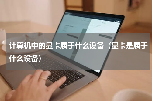 计算机中的显卡属于什么设备（显卡是属于什么设备）