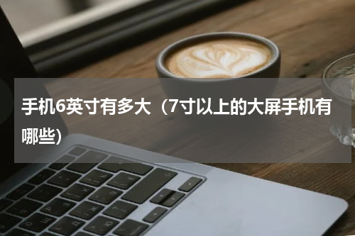 手机6英寸有多大（7寸以上的大屏手机有哪些）