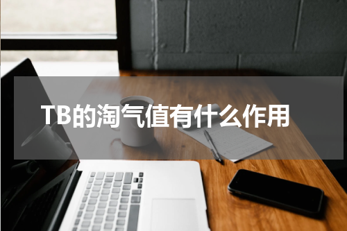 TB的淘气值有什么作用