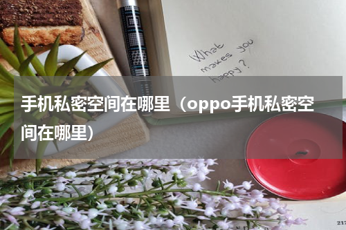 手机私密空间在哪里（oppo手机私密空间在哪里）