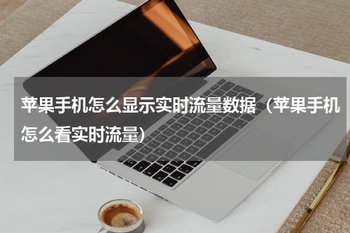 苹果手机怎么显示实时流量数据（苹果手机怎么看实时流量）