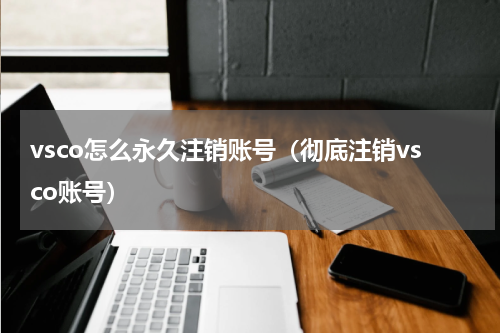 vsco怎么永久注销账号（彻底注销vsco账号）