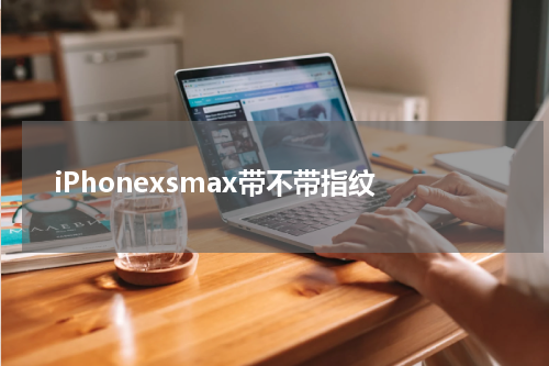 iPhonexsmax带不带指纹