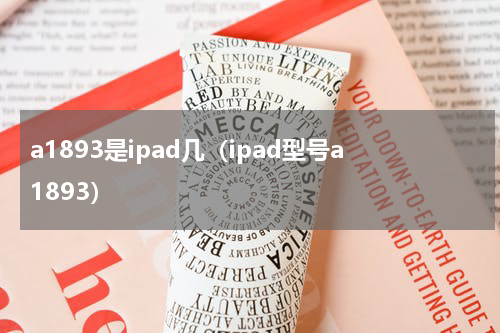 a1893是ipad几（ipad型号a1893）