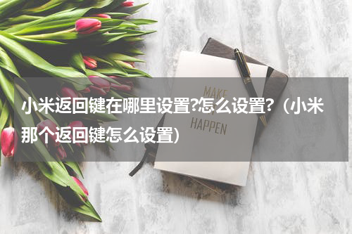 小米返回键在哪里设置?怎么设置?（小米那个返回键怎么设置）