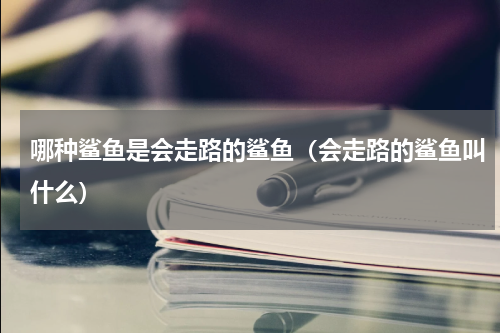 哪种鲨鱼是会走路的鲨鱼（会走路的鲨鱼叫什么）