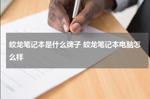 蛟龙笔记本是什么牌子 蛟龙笔记本电脑怎么样