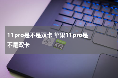 11pro是不是双卡 苹果11pro是不是双卡
