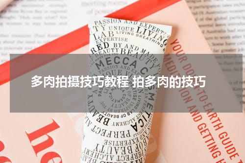 多肉拍摄技巧教程 拍多肉的技巧