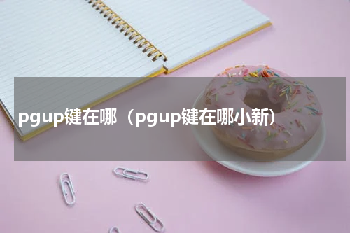 pgup键在哪（pgup键在哪小新）