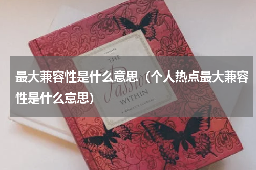 最大兼容性是什么意思（个人热点最大兼容性是什么意思）