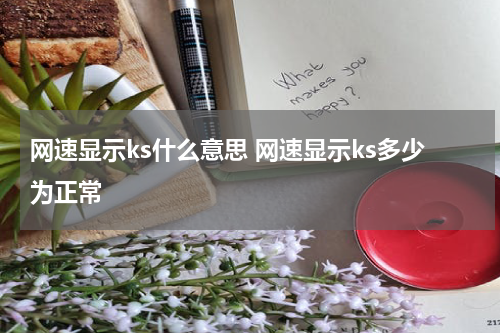 网速显示ks什么意思 网速显示ks多少为正常