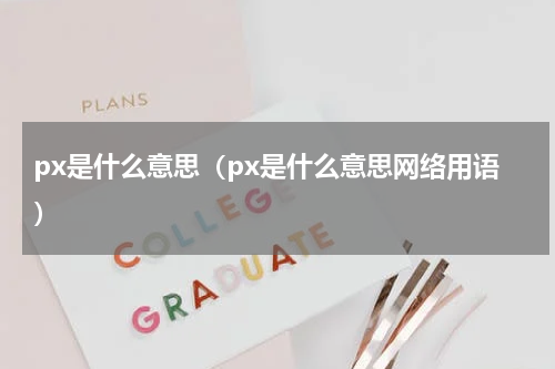 px是什么意思（px是什么意思网络用语）