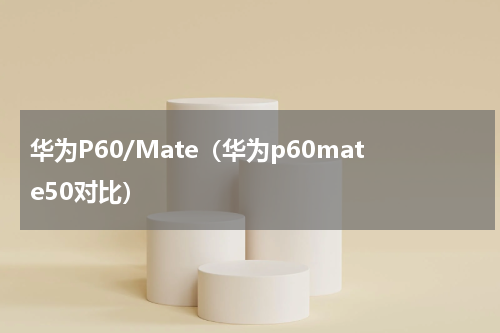 华为P60/Mate（华为p60mate50对比）