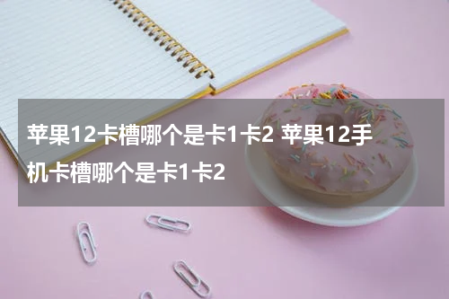 苹果12卡槽哪个是卡1卡2 苹果12手机卡槽哪个是卡1卡2