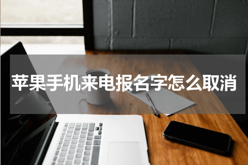 苹果手机来电报名字怎么取消