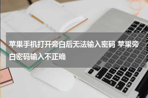 苹果手机打开旁白后无法输入密码 苹果旁白密码输入不正确