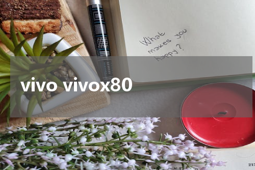 vivo vivox80