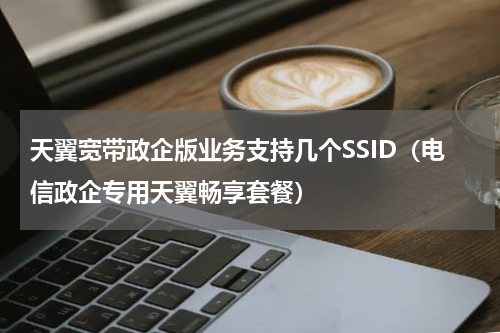 天翼宽带政企版业务支持几个SSID（电信政企专用天翼畅享套餐）