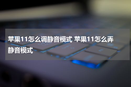 苹果11怎么调静音模式 苹果11怎么弄静音模式
