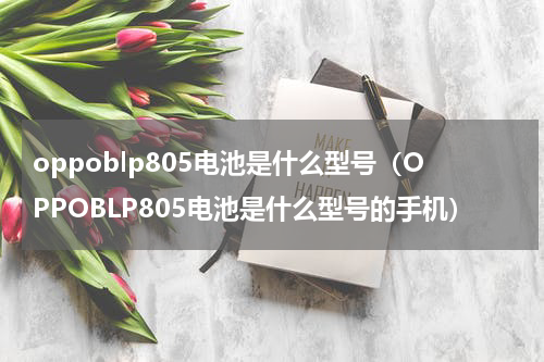 oppoblp805电池是什么型号（OPPOBLP805电池是什么型号的手机）