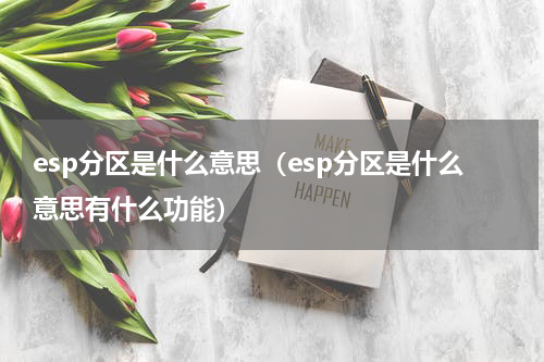 esp分区是什么意思（esp分区是什么意思有什么功能）