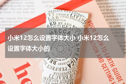 小米12怎么设置字体大小 小米12怎么设置字体大小的