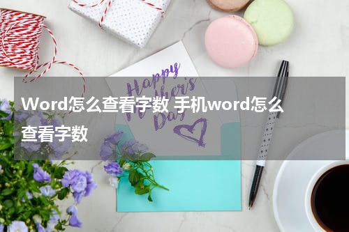 Word怎么查看字数 手机word怎么查看字数