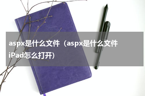 aspx是什么文件（aspx是什么文件iPad怎么打开）