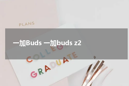 一加Buds 一加buds z2
