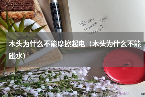 木头为什么不能摩擦起电（木头为什么不能碰水）