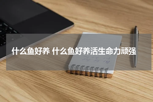 什么鱼好养 什么鱼好养活生命力顽强