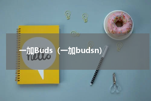 一加Buds（一加budsn）
