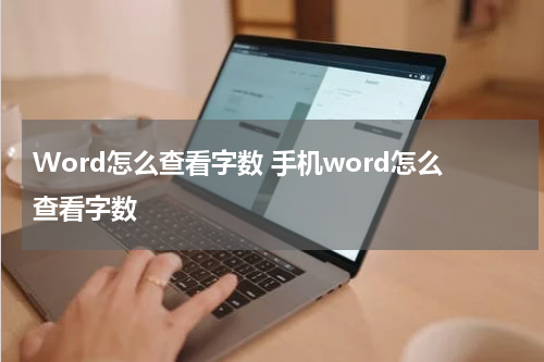Word怎么查看字数 手机word怎么查看字数