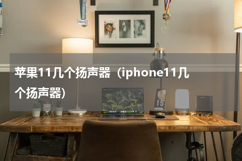 苹果11几个扬声器（iphone11几个扬声器）