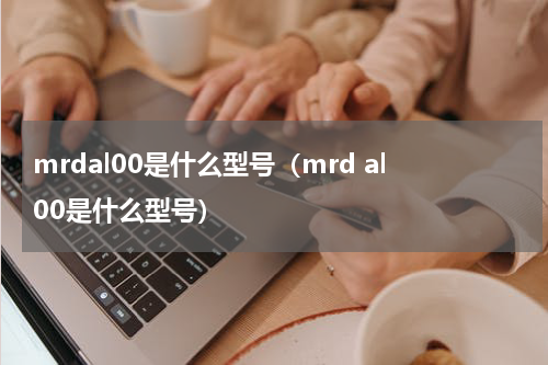 mrdal00是什么型号（mrd al00是什么型号）
